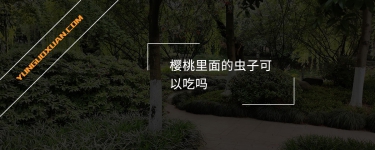櫻桃里面的蟲子可以吃嗎？