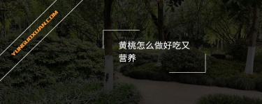 黃桃怎么做好吃又營養(yǎng)？