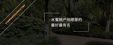 水蜜桃產(chǎn)地哪里的最好最有名？
