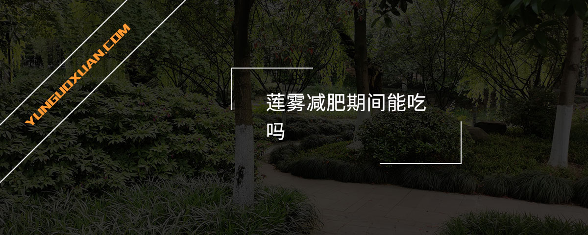 蓮霧減肥期間能吃嗎？