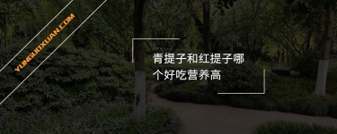 青提子和紅提子哪個(gè)好吃營養(yǎng)高？