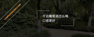 干白葡萄酒怎么喝口感更好？