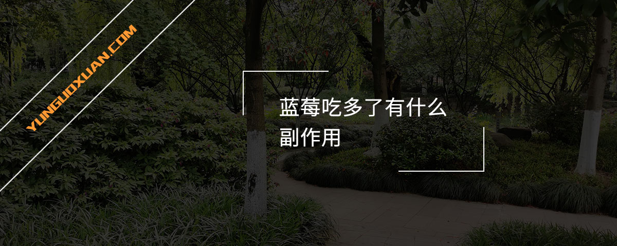 藍(lán)莓吃多了有什么副作用？
