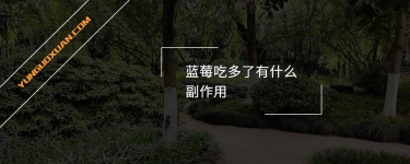 藍(lán)莓吃多了有什么副作用？