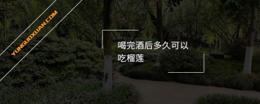 喝完酒后多久可以吃榴蓮？