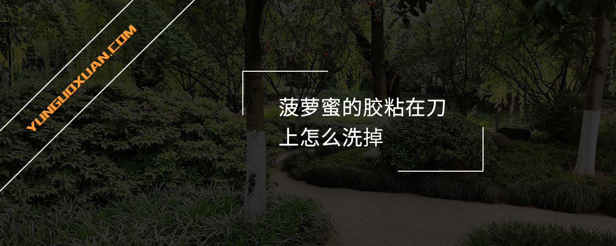 菠蘿蜜的膠粘在刀上怎么洗掉？