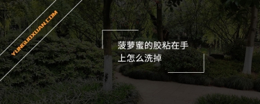 菠蘿蜜的膠粘在手上怎么洗掉？