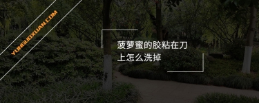 菠蘿蜜的膠粘在刀上怎么洗掉？