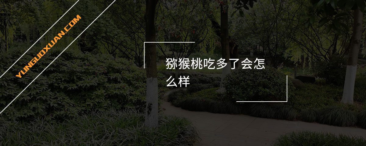 獼猴桃吃多了會(huì)怎么樣？