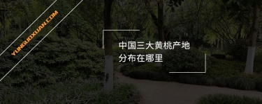 中國三大黃桃產地分布在哪里？