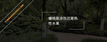 蟠桃是涼性還是熱性水果？