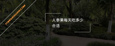 人參果每天吃多少合適？
