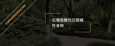 石榴是酸性還是堿性食物？