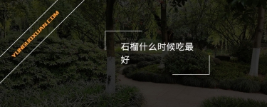 石榴什么時(shí)候吃最好？