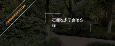 石榴吃多了會(huì)怎么樣？