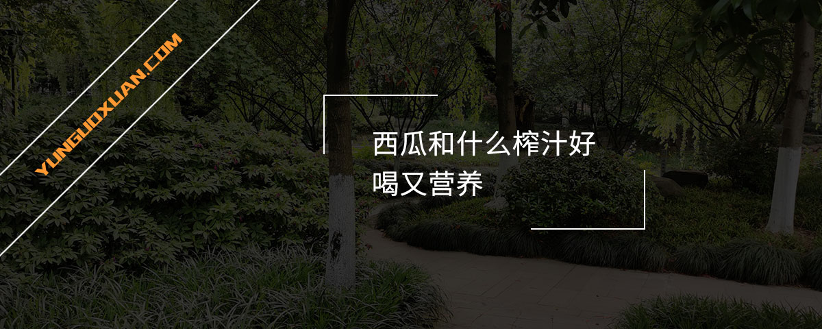 西瓜和什么榨汁好喝又營養(yǎng)？