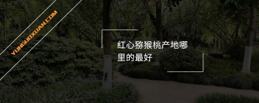 紅心獼猴桃產地哪里的最好？