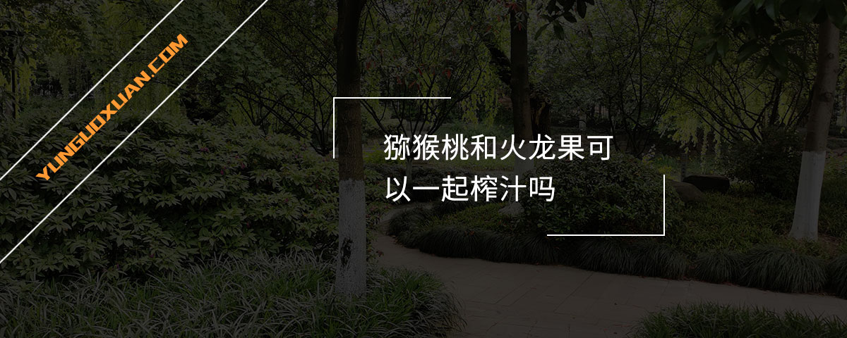 獼猴桃和火龍果可以一起榨汁嗎？