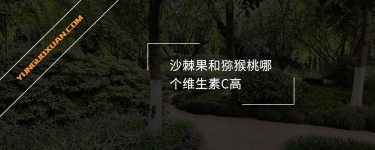 沙棘果和獼猴桃哪個維生素C高？