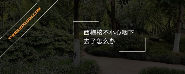 西梅核不小心咽下去了怎么辦？