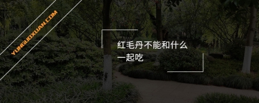 紅毛丹不能和什么一起吃？