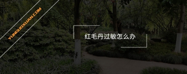 紅毛丹過敏怎么辦？