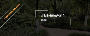 金秋砂糖桔產(chǎn)地在哪里？