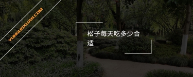 松子每天吃多少合適?