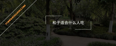 松子適合什么人吃?