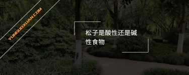 松子是酸性還是堿性食物?
