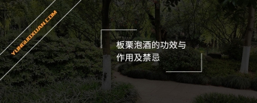 板栗泡酒的功效與作用及禁忌