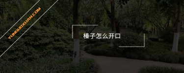 榛子怎么開(kāi)口？