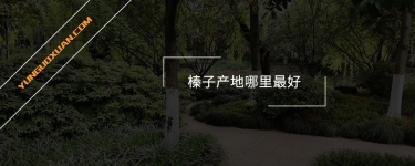 榛子產(chǎn)地哪里最好?