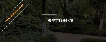 榛子可以多吃嗎?