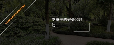 吃榛子的好處和壞處