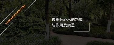 核桃分心木的功效與作用及禁忌