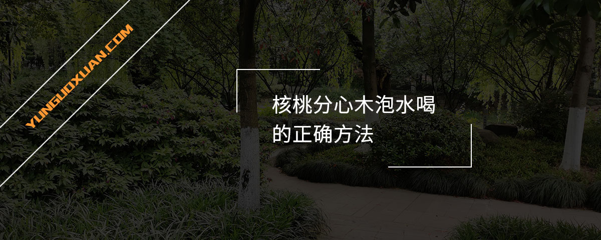核桃分心木泡水喝的正確方法