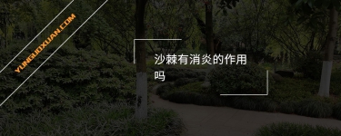 沙棘有消炎的作用嗎?