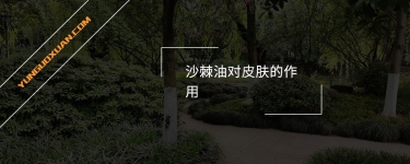 沙棘油對皮膚的作用