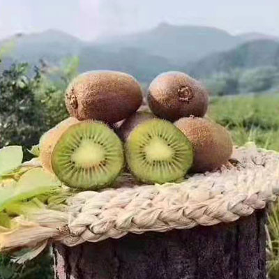 眉縣獼猴桃