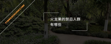 火龍果的禁忌人群有哪些？