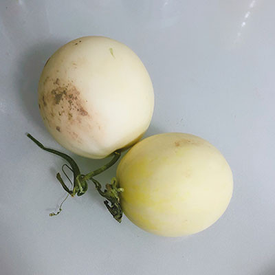 閻良甜瓜