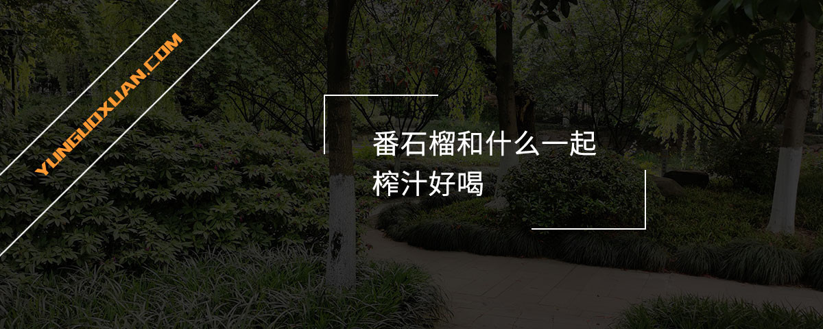 番石榴和什么一起榨汁好喝？