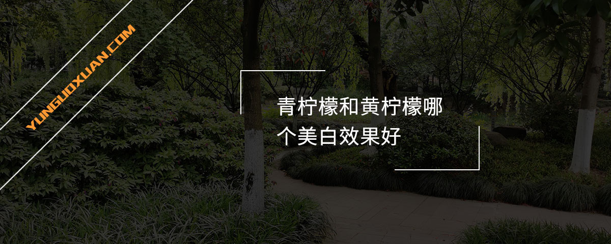 青檸檬和黃檸檬哪個(gè)美白效果好？