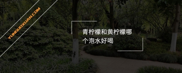 青檸檬和黃檸檬哪個(gè)泡水好喝？