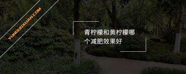 青檸檬和黃檸檬哪個(gè)減肥效果好？