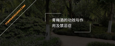 青梅酒的功效與作用及禁忌癥