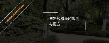 自制酸梅湯的做法與配方