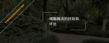 喝酸梅湯的好處和壞處