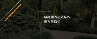 酸梅酒的功效與作用及禁忌癥